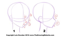 how to draw the head and shoulders of a woman