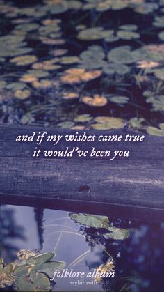 a wooden bench sitting in the middle of a pond filled with water lilies and a quote