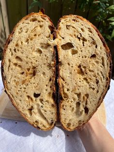 Cheese And Onion Sourdough Bread, Dill Pickle Sourdough Bread, Inclusion Sourdough Bread, Onion Sourdough Bread, Sourdough Inclusion Ideas, Starter Bread, Spiced Cashews, Cheese And Bread, Sourdough Loaf