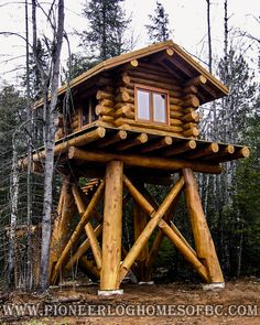 a tall wooden structure in the middle of a forest