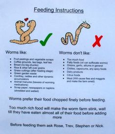 a sign describing feeding instructions for worms