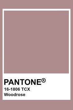 the pantone color is shown in this image, it has a white square frame