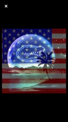 an american flag with the image of a jellyfish on it's back side