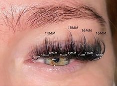 Strip Eyelash Extensions, Diy Strip Lashes, Lash Maps Eyelash Extensions, Whispy Lashes Extensions Map, Wispy Lash Extensions Mapping, Lash Extensions Mapping Styles, Lash Mapping Eyelash Extensions