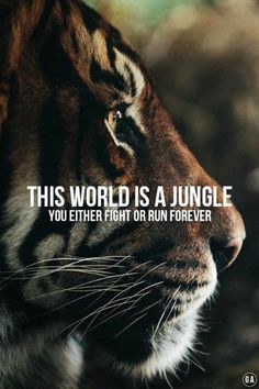 12 Unforgettable And Uplifting Quotes Fighter Quotes, Tiger Quotes, Room Quotes, Human Relations, Lion Quotes, Inspirational Qoutes, Baddie Tips, Character Quotes, Positive Motivation