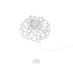 a black and white drawing of a flower on a white background with the words flowers zinnia written below it