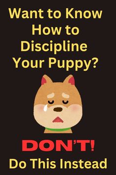 Want to know how to discipline your puppy? Don't!  Discipline is often interpreted as punishment.  Instead, read this post for step-by-step instructions on how to train your puppy in a kind, effective way. Dog At Home, Dog Minding, Dog Behavior Problems, Agility Training, Best Dog Training, Train Your Dog