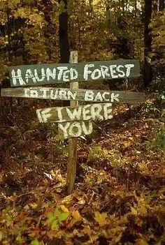 a sign in the woods that says, haunted forest and return back if i were you