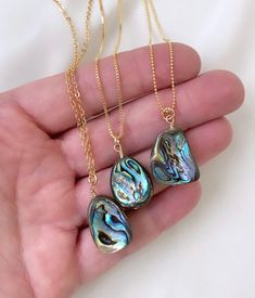 Abalone Shell Pendant Necklace These stunning necklaces are eye-catchers! Features all natural Abalone Shells in random freeform shapes. No two pendants will be exactly alike as they are all natural. Each hangs on your choice of chain. All components are gold filled. Chain Options: Gold Filled Link Chain Gold Filled Box Chain Gold Filled Ball Chain Chain Length Options: 18 inches 20 inches 22 inches 24 inches Can't decide on a length? Purchase a 2-inch chain extender to add to your necklace for Gold Abalone Shell Necklace In Unique Style, Unique Gold Abalone Shell Necklaces, Gift Shell Necklace With Lobster Clasp, Unique Gold Abalone Shell Necklace, Unique Gold Necklace With Abalone Shell, Shell Necklace With Clavicle Chain As Gift, Shell Necklace With Clavicle Chain For Gift, Gold Bohemian Abalone Shell Necklace, Handmade Shell-shaped Necklace For Gift