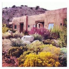 an adobe - style house surrounded by colorful plants and rocks in front of a mountain