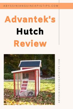 an advertisement for the advantek's hutch review with a dog in it