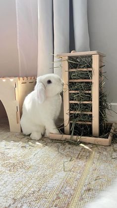 a small white rabbit sitting next to a wooden crate with hay in it's mouth