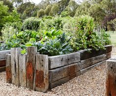 a wooden planter filled with lots of green plants next to trees and bushes in the background