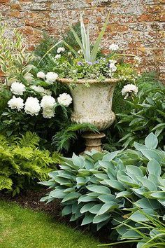 a garden filled with lots of green plants and white flowers next to a brick wall