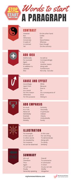 the top five steps to start a paragraphh infographical guide for beginners