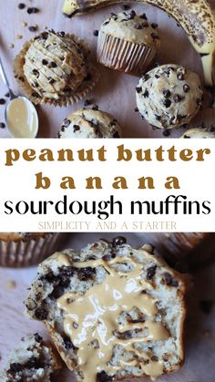 peanut butter banana sourdough muffins with chocolate chips and bananas in the background