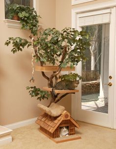 a cat sitting on top of a tree in a house