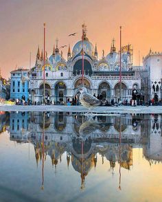 a bird is sitting on the water in front of a building with many spires