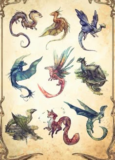 an image of different types of dragon's on parchment paper with ornate border around them