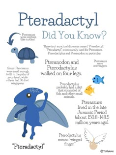 an info sheet with different types of animals