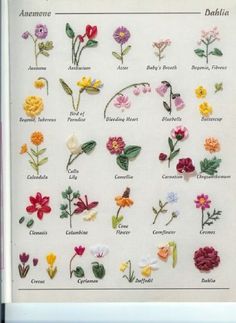 an image of different types of flowers on a white background with the names of them