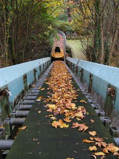 a train traveling over a bridge with lots of leaves on the ground