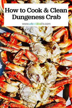 how to cook and clean dunggeness crab with text overlay that reads, how to cook and clean dunggeneses crab