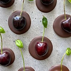 chocolate covered cherries with green leaves on them