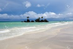 an empty beach with palm trees and blue sky in the background stock photo - 9579