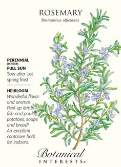 the botanical interest guide for rosemary is available in several colors and sizes, including blue