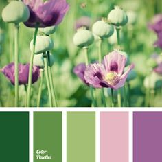 purple and green color scheme with flowers