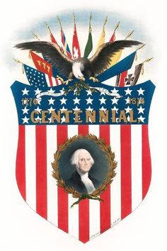 an american flag shield with the image of george n naal and eagle on it