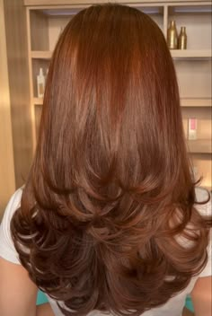 Hair Color Copper Ginger, Hair For Medium Length Hair Colour, Penny Brown Hair, Brown With Orange Undertones Hair, Cooper Brown Hair With Highlights, Ginger Over Brown Hair, Brown Hair To Ginger, Chestnut Highlights On Brown Hair, Ginger Hair On Brown Hair