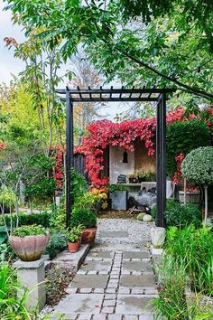 an outdoor garden with lots of plants and flowers