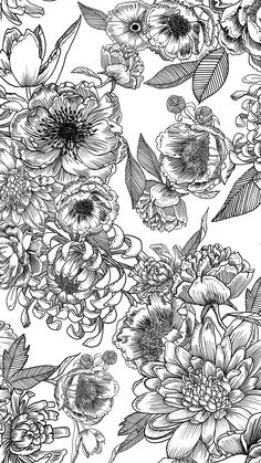 a black and white floral pattern with lots of flowers on the bottom half of it