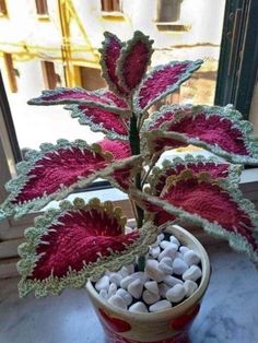 a potted plant with white rocks in it