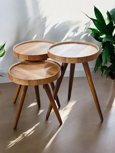 three wooden tables sitting on top of a floor next to a potted green plant