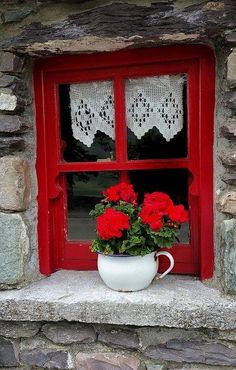 a red window with white lace and flowers in it