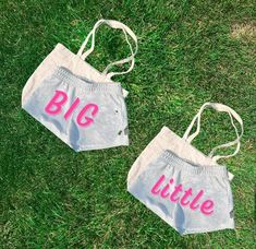 two bags with the words big and little on them are laying in the green grass