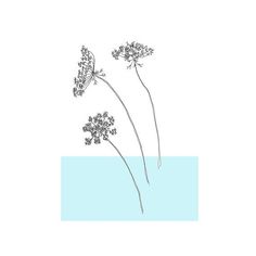 two flowers are shown in the water on a white and blue background with text that reads,