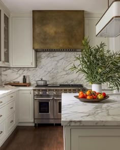 a white kitchen with marble counter tops and stainless steel stove top oven, potted plant on the island