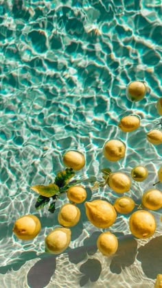 some yellow fruit floating on top of the water in a pool with clear blue water