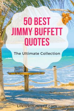 the ultimate collection of jimmy buffet quotes