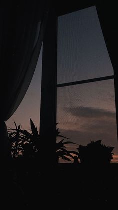 the silhouette of a cat sitting on a window sill at dusk, looking out into the distance