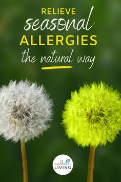 Natural Seasonal Allergy Remedy, Natural Remedies For Hayfever, Best Allergy Relief, Herbal Remedies For Allergies, Natural Remedies For Seasonal Allergies, Natural Hayfever Remedies, Natural Remedy For Allergies, Home Remedy For Allergies