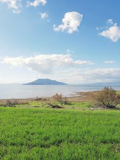 an open field next to the ocean with a mountain in the distance and blue sky