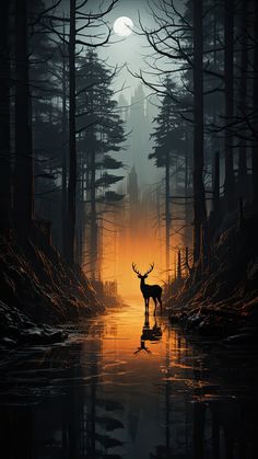 a deer is standing in the middle of a forest at sunset with its reflection on the water