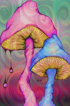 two colorful mushrooms with drops of water coming out of the tops and on top of them