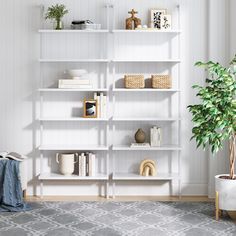 a living room with white shelving and a potted plant on the floor next to it