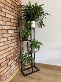 a plant is sitting on a shelf next to a brick wall